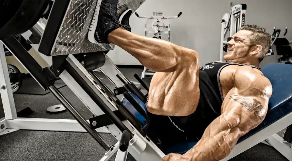 Muscle Building Equipment: Gear Up For Strength Training