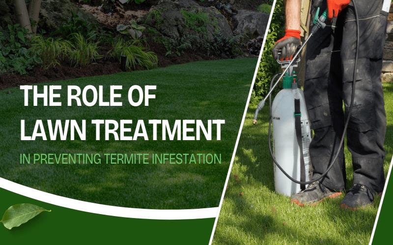 The Role of Lawn Treatment in Preventing Termite Infestation (1)