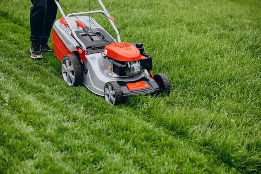 Lawn Care