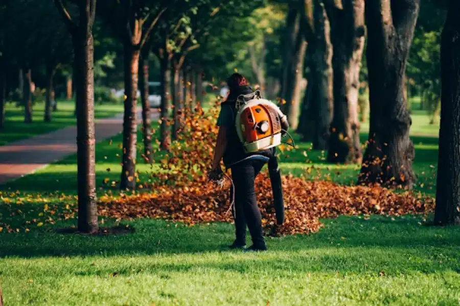 Lawn Care