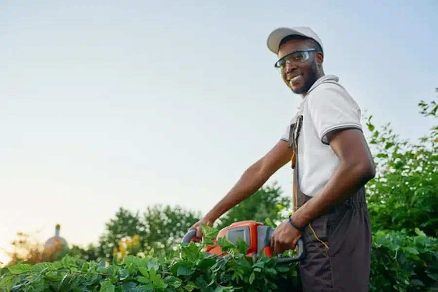 Lawn Care