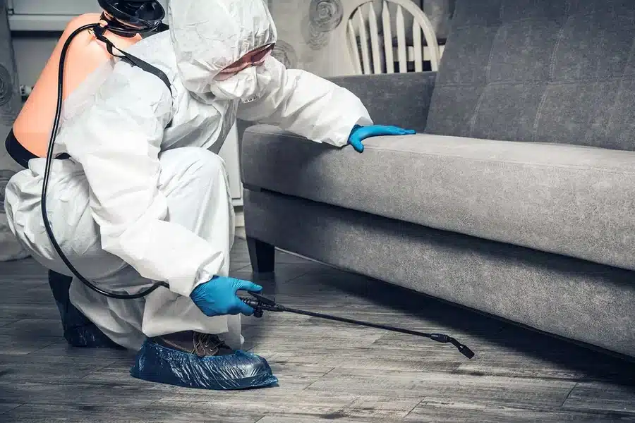 Pest Control