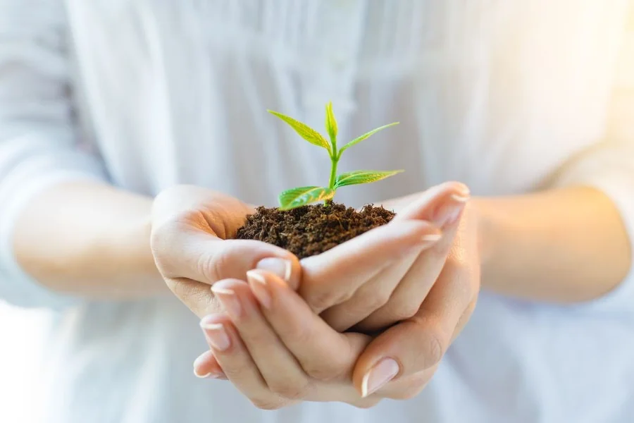 Why Patience and Structure Go Hand-in-Hand With Personal Growth