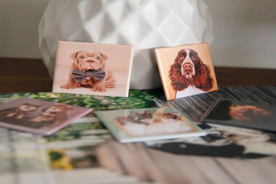 How Do Custom Souvenir Magnets Help Promote Memories