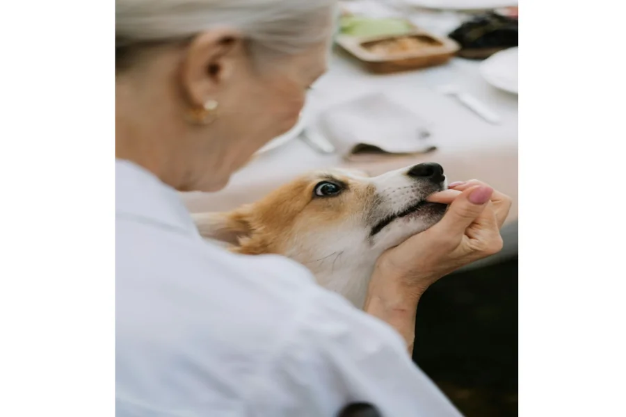 Dog Bite