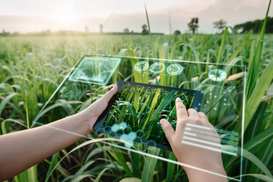 How To Succeed From Adopting Ai In Agriculture