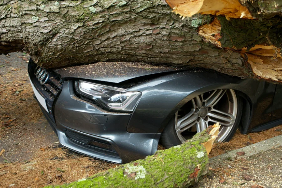 Auto Accident Attorney