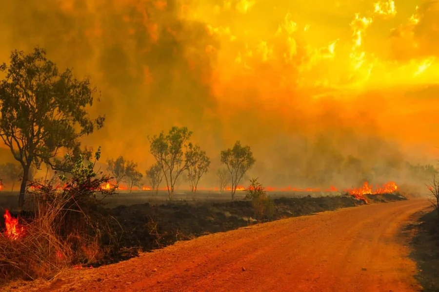Bushfire
