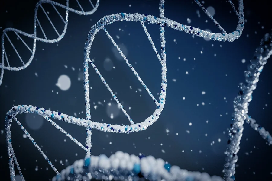Innovations Driving Modern Drug Discovery