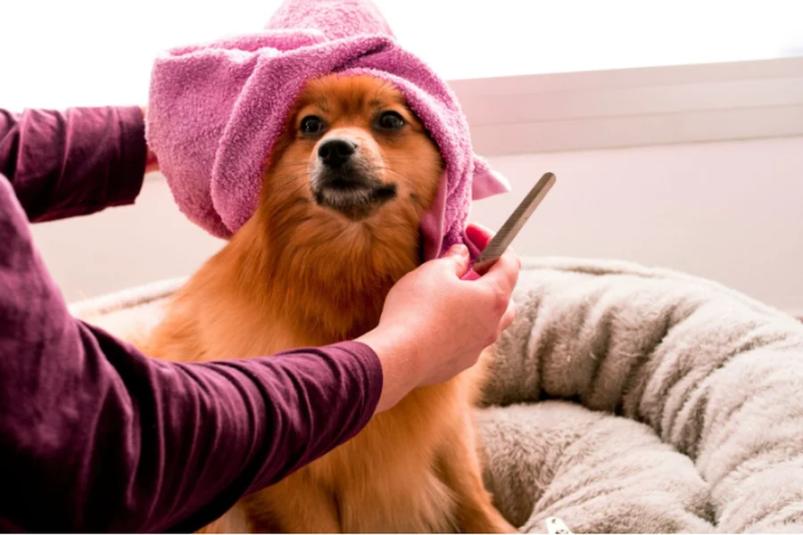 Health Check