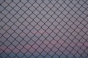 Maximizing Warehouse Safety with Wire Mesh Security Cages