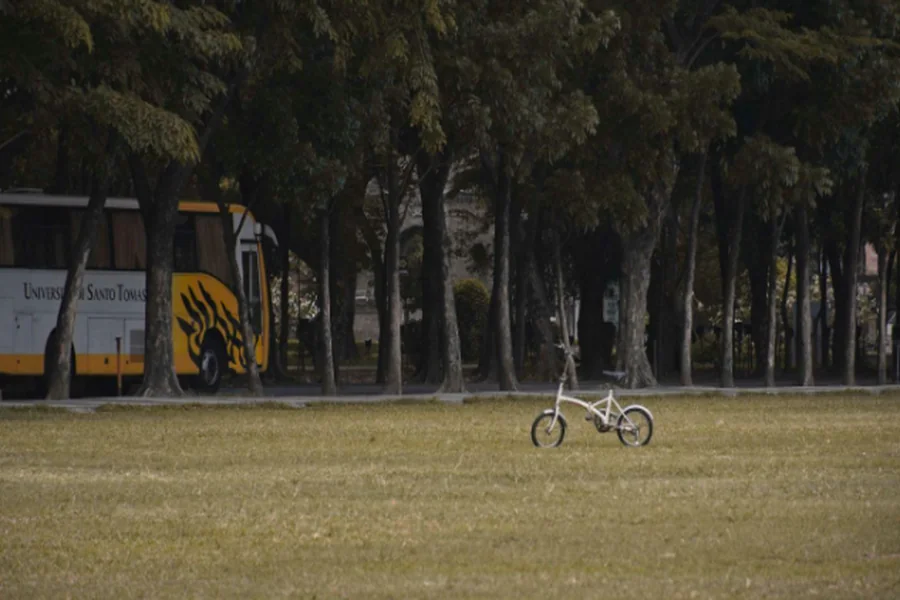 Bike Theft