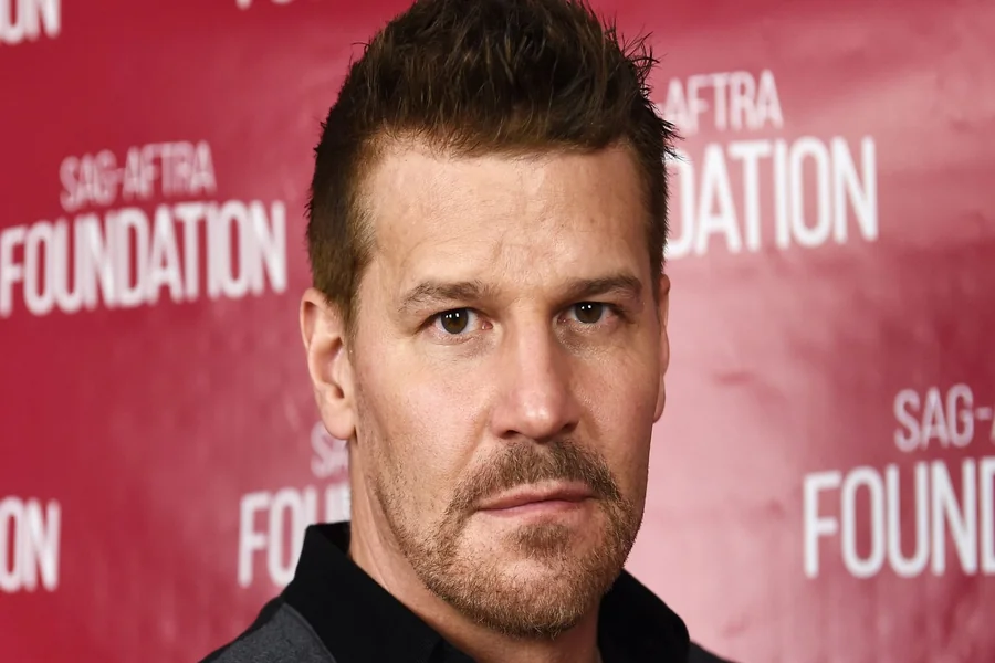 David Boreanaz Net Worth