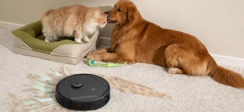 Robot Vacuum