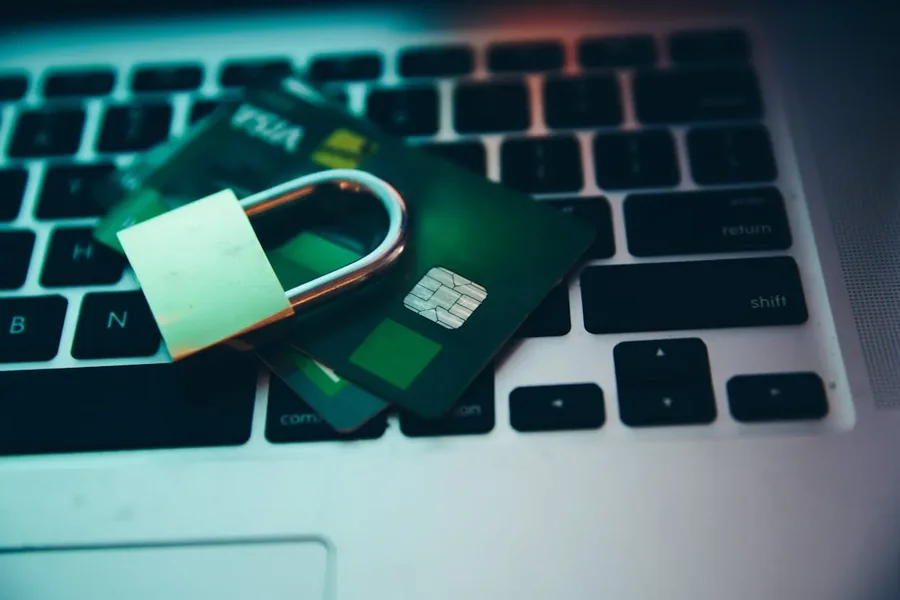 Customer Data Online