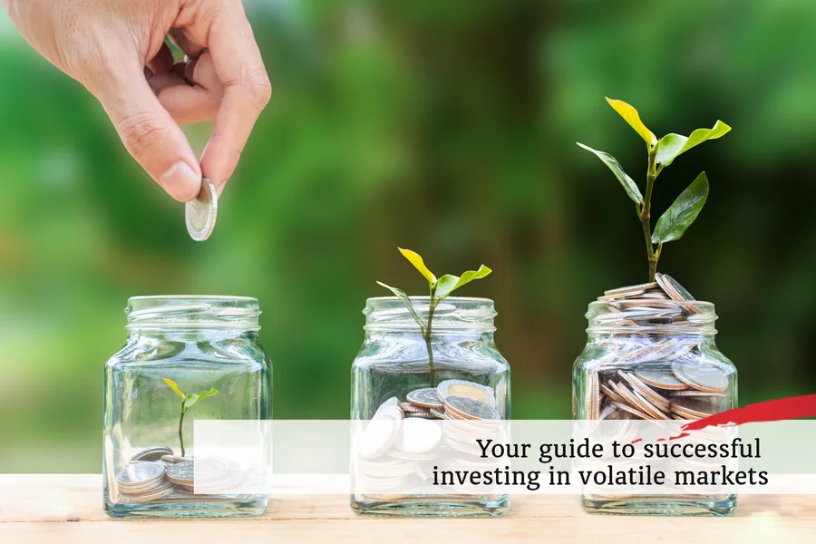 Identify Undervalued Stocks