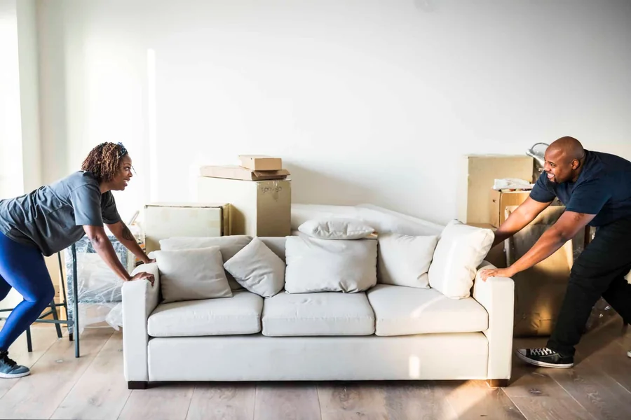 Furniture Removal