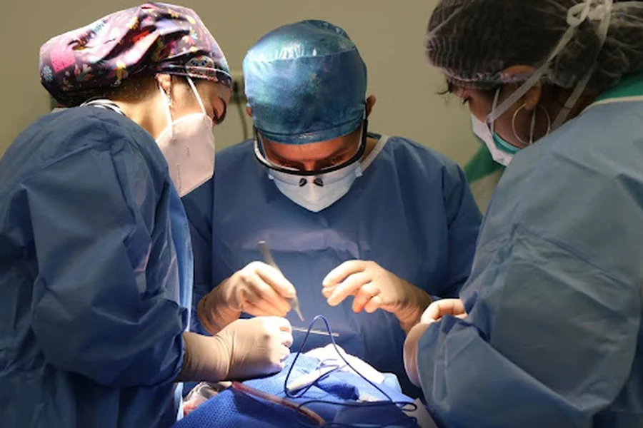 Minimally Invasive Treatment Options in Spine Surgery Explored
