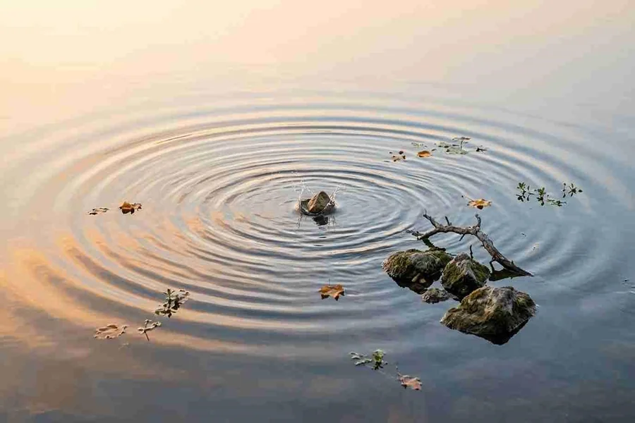 How Seedance 2.0 Helps Maximize the Value of Existing Content Assets