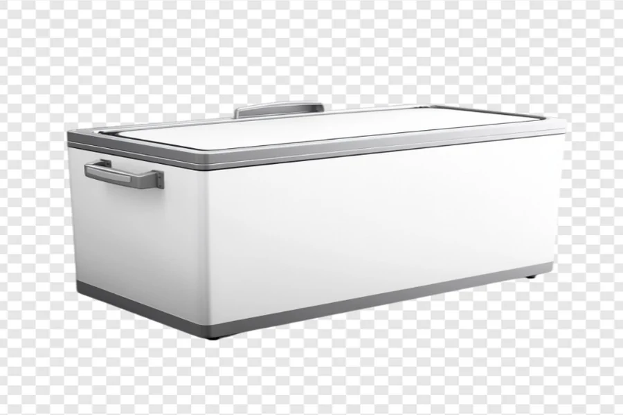Electric Cooler