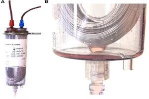 Inside Veterinary Blood Banking How Canine Plasma Collection and Storage Works