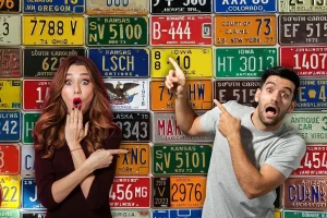 Novelty License Plates as a Form of Personal Expression Trends Worth Knowing
