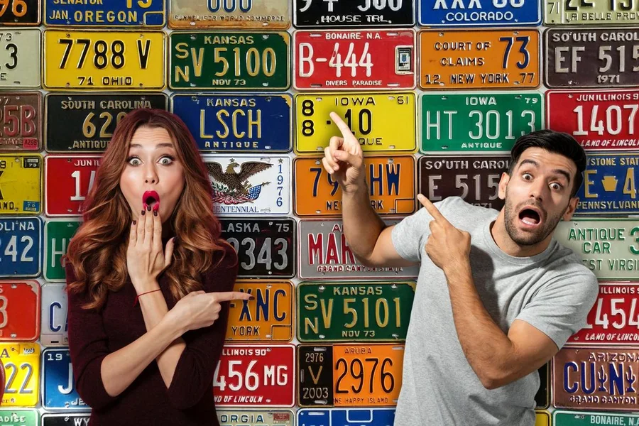 Novelty License Plates as a Form of Personal Expression Trends Worth Knowing